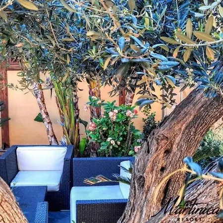 La Martinica Hotel 3*