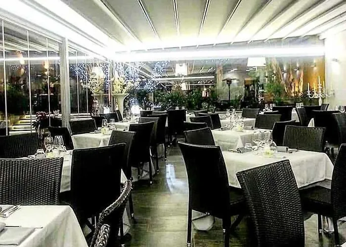 酒店 马提尼克酒店 3*